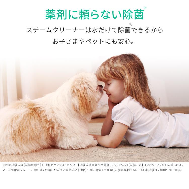 IRIS OHYAMA（アイリスオーヤマ） リンサークリーナー スチーム