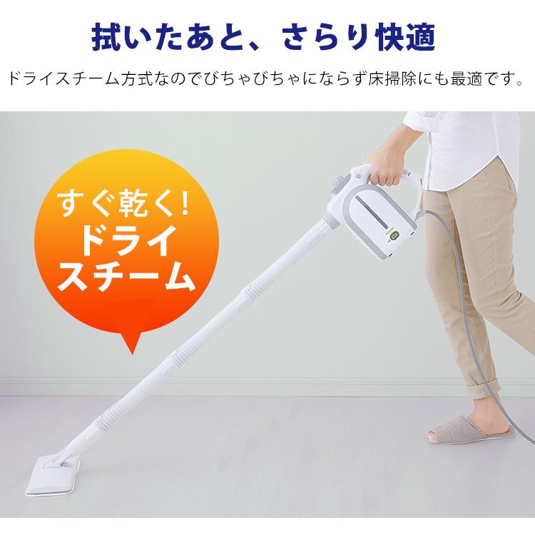 IRIS OHYAMA（アイリスオーヤマ） リンサークリーナー スチーム