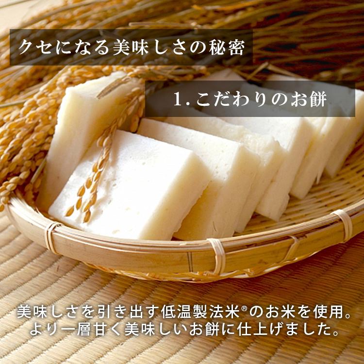 ＼4食入×2袋／ いなりあげもち いなりもち 餅 お餅 いなり餅 切り餅 低温製法米 京あげ 油揚げ 油あげ 切りもち だし 正月 年越し 年末 アイリスフーズ | IRIS OHYAMA | 02