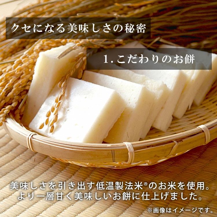 いなりあげもち 10食入り 2個セット いなりもち いなり餅 餅 おもち いなり揚げ餅 お餅 正月 お正月 年越し 年末 もち アイリスオーヤマ 餅 稲荷 | IRIS OHYAMA | 02