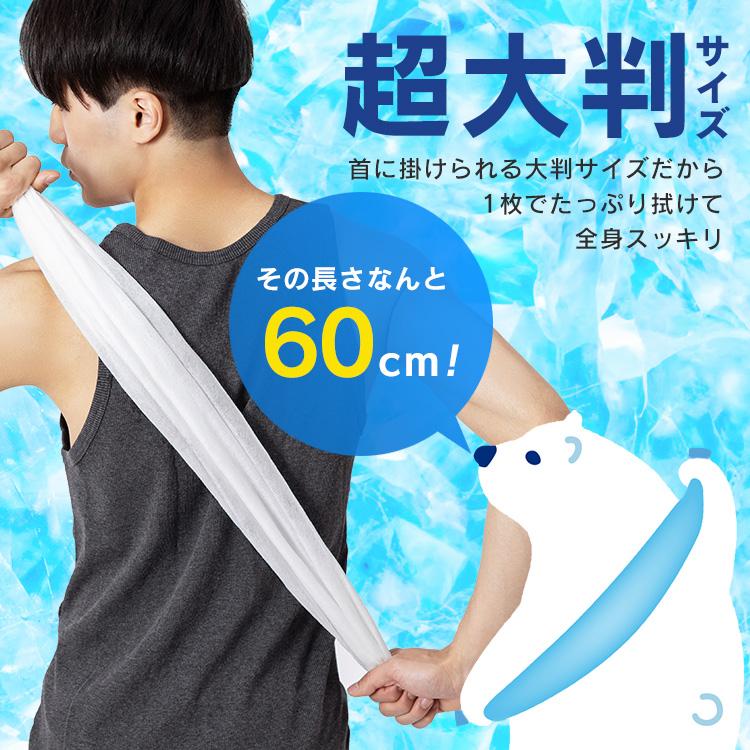 IRIS OHYAMA（アイリスオーヤマ） ボディシート 4個セット ウェット