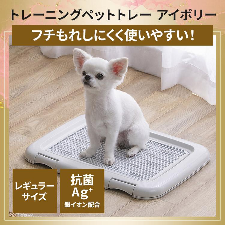 ふくちゃま IVY モイストシート 2箱(20枚入) 楽天市場】アイビー