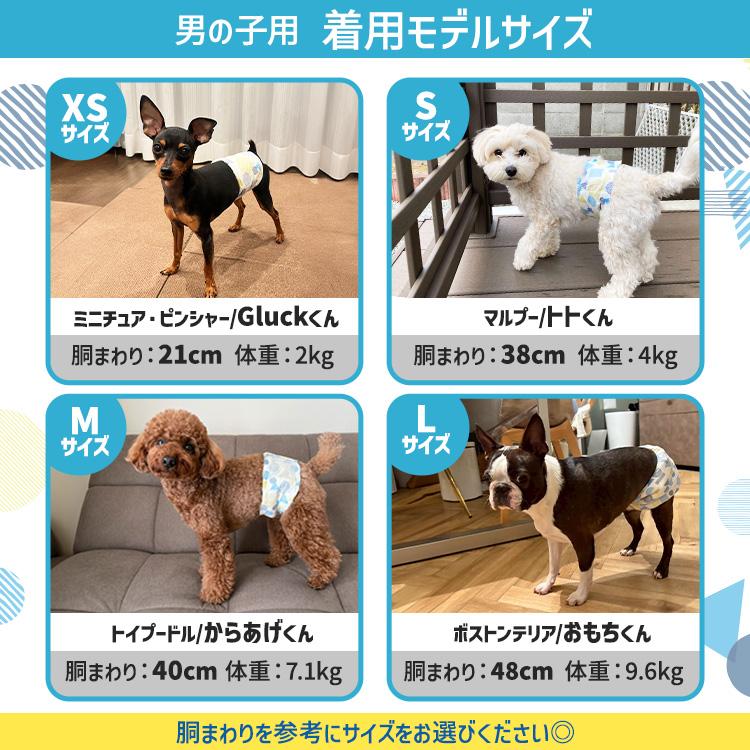 IRIS OHYAMA（アイリスオーヤマ） ＼1枚約30円〜／ 犬マナーベルト 犬
