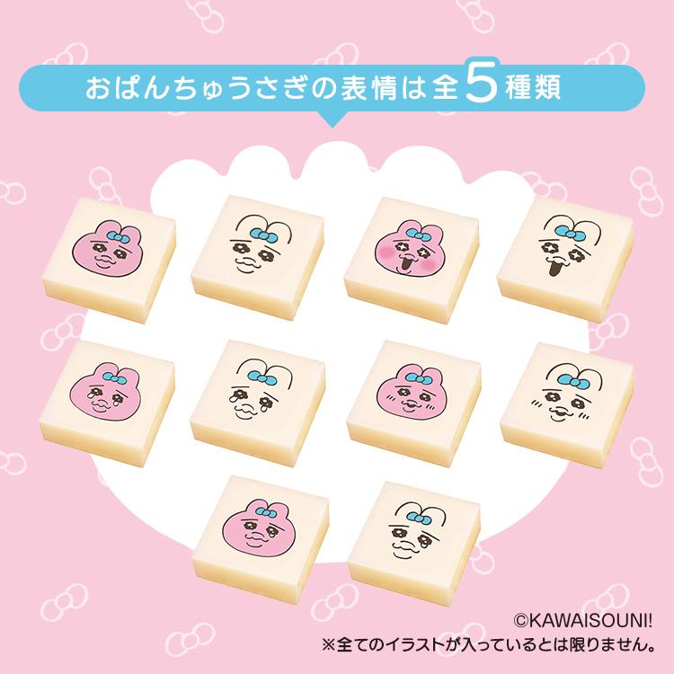 餅 切り餅 おぱんちゅうさぎ シール入 もち アイリスオーヤマ 250g 2袋 個包装 約20個 お餅 低温製法米 アイリスフーズ 生きりもち | IRIS OHYAMA | 02