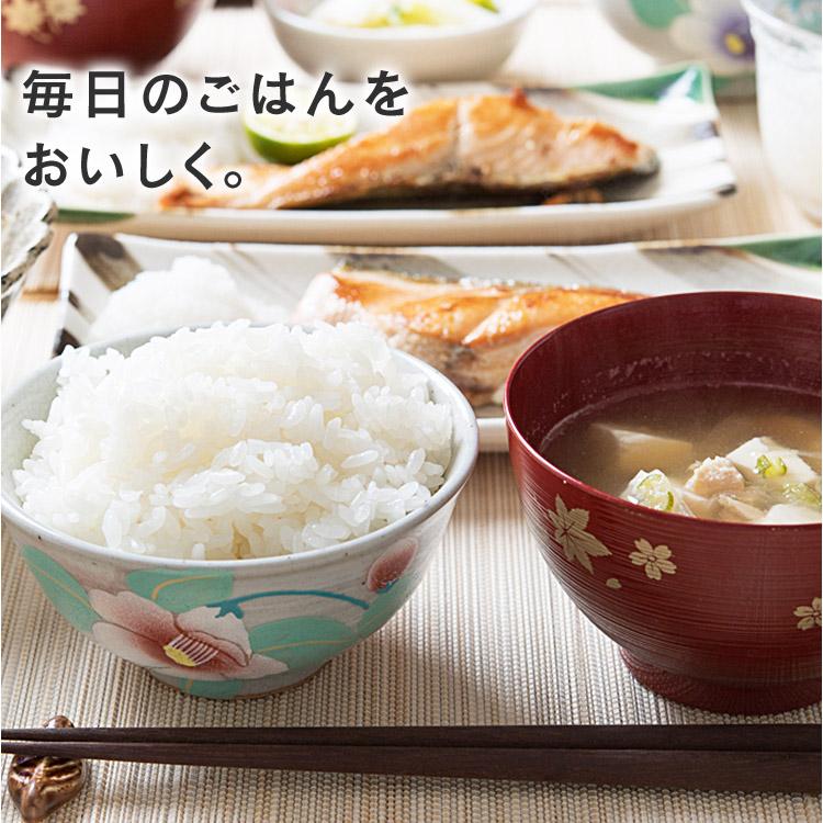 IRIS OHYAMA 新米 令和7年産 白米 米 10kg 和の輝き お米 5kg 2