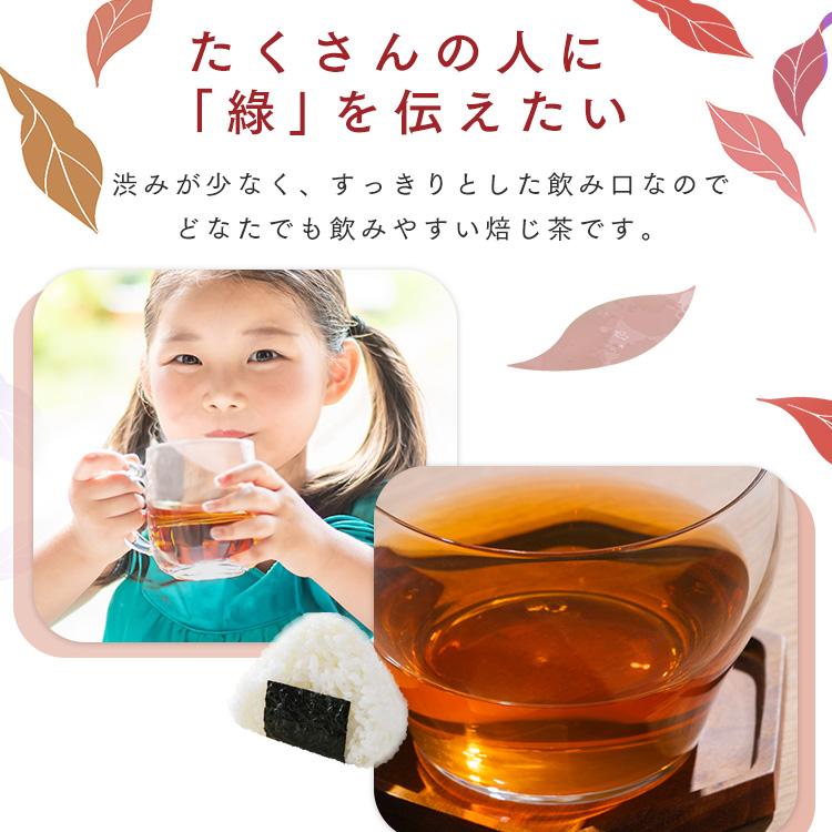 IRIS OHYAMA（アイリスオーヤマ） お茶 緑茶 ほうじ茶 ペットボトル