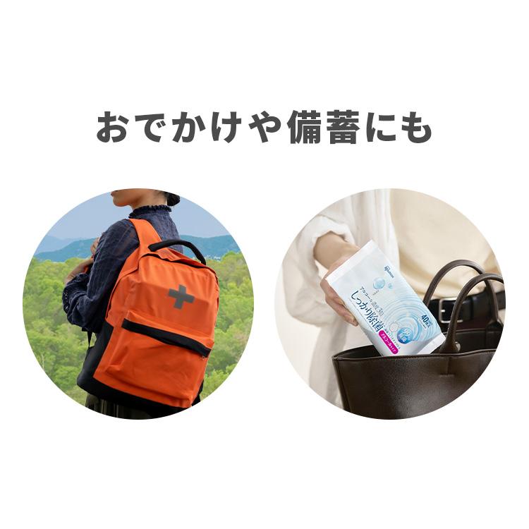 ウェットティッシュ 1600枚 (40枚入×40個) アルコール ノンアルコール 除菌シート アイリスオーヤマ アイリスヘルスケア HSTS-40A/N10P * | IRIS OHYAMA | 10