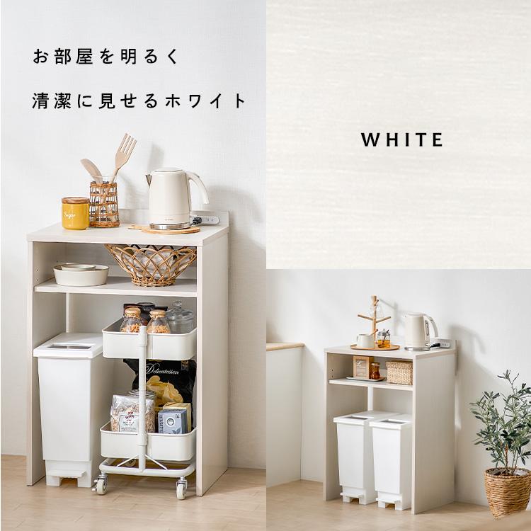 IRIS OHYAMA（アイリスオーヤマ） ゴミ箱ラック 収納 ラック キッチン