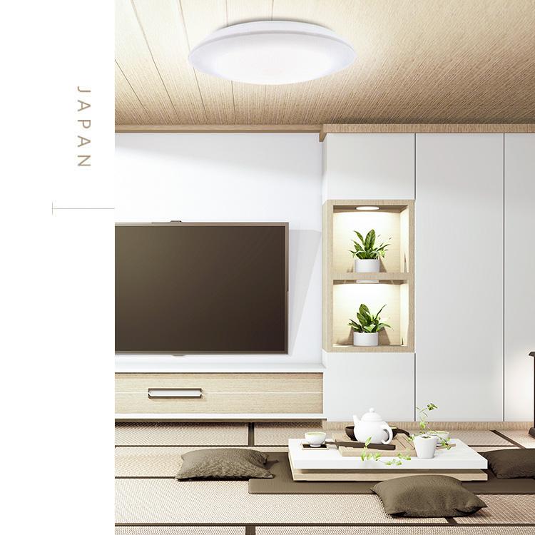 IRIS OHYAMA（アイリスオーヤマ） シーリングライト LED 12畳用 LED