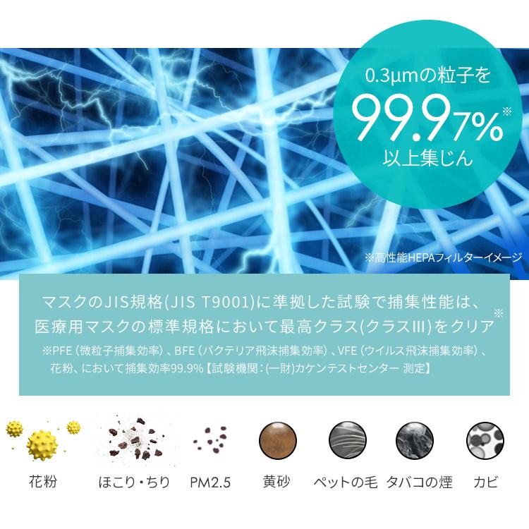 IRIS OHYAMA（アイリスオーヤマ） 空気清浄機 花粉対策 10畳 省エネ