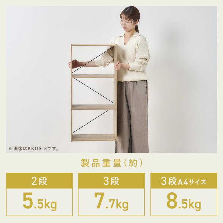 IRIS OHYAMA（アイリスオーヤマ） 棚 ラック 2段 オープンラック 工具