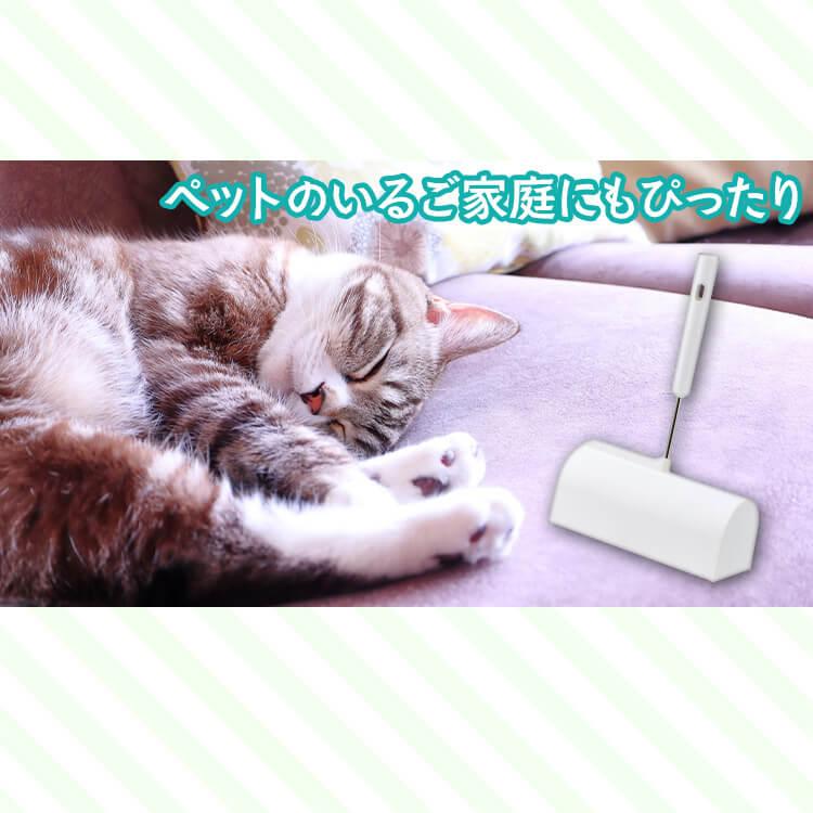 IRIS OHYAMA（アイリスオーヤマ） 粘着クリーナー 本体 ケース付き