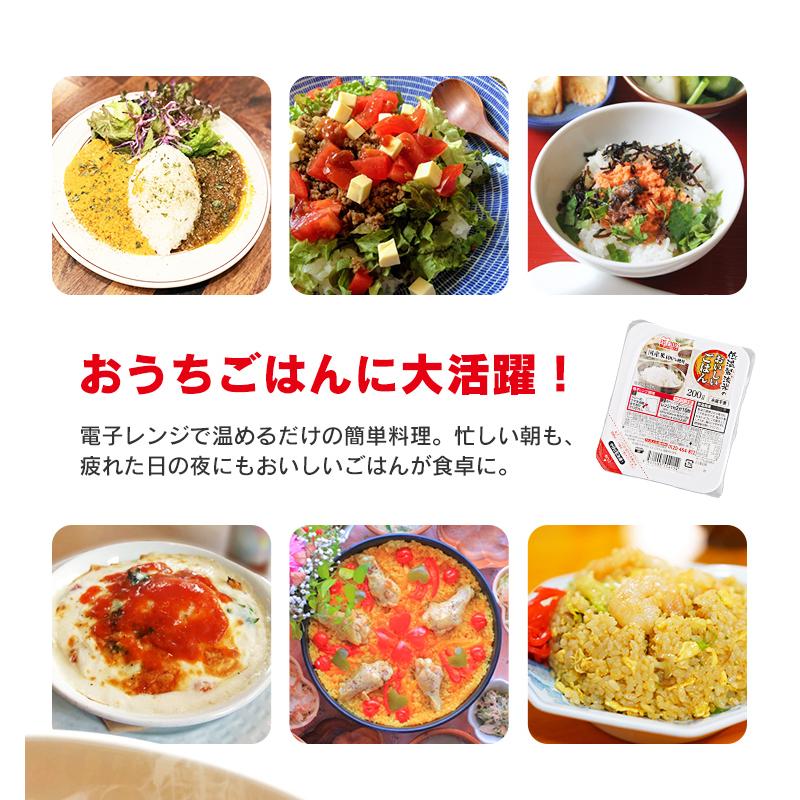IRIS OHYAMA（アイリスオーヤマ） パックご飯 150g 48食 レトルトご飯