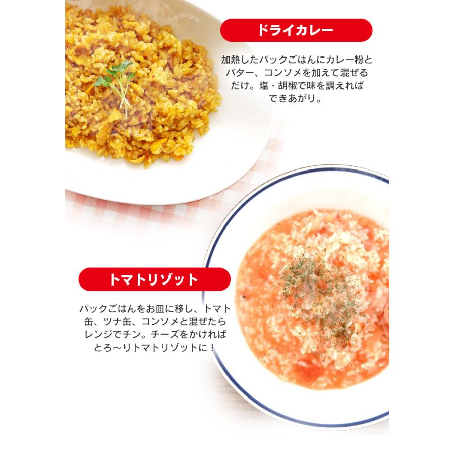 アイリスオーヤマ パック ごはん 150g×48食 IRIS OHYAMA（アイリスオーヤマ） パックご飯 150g 48食 レトルトご飯