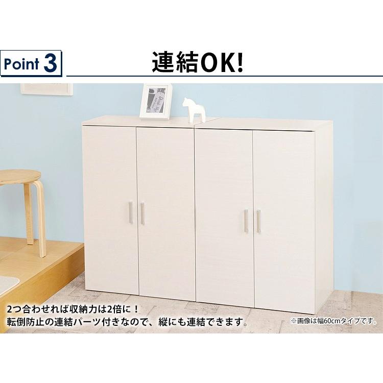 IRIS OHYAMA 2個セット 下駄箱 玄関収納 シューズボックス 靴箱