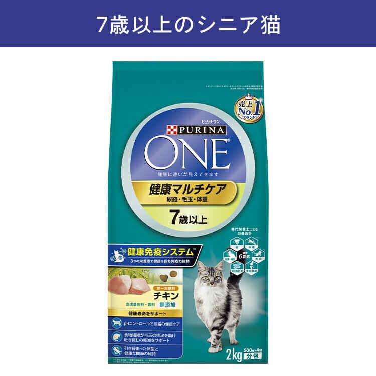 【6袋セット】ピュリナ ワン キャット ドライ グレインフリー1歳以上 チキン ピュリナ ワン キャット ドライ 1歳から全ての年齢に グレイン