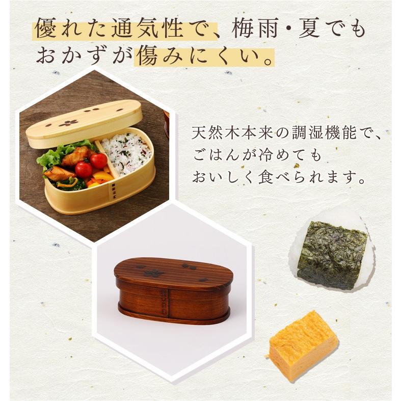 曲げわっぱ 弁当箱 550ml 1段 わっぱ弁当箱 小判型 さくら