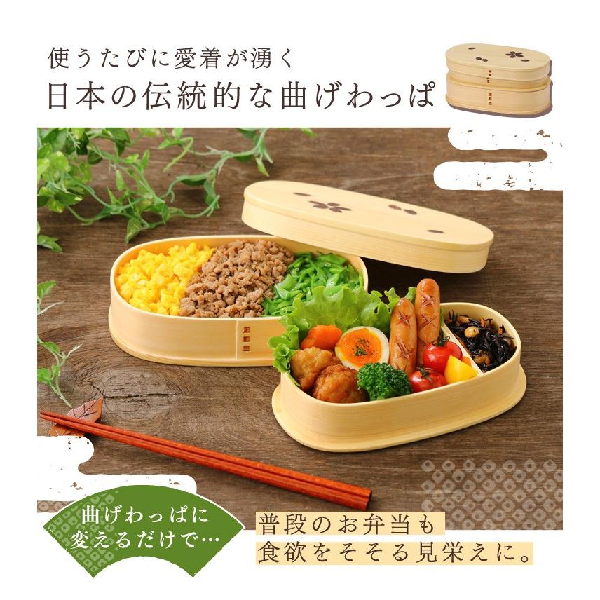 弁当箱 曲げわっぱ おしゃれ 木製 二段 小判型 さくら バンド付き お弁当箱 遠足 アウトドア h172h3t h172ds3t D アイリスプラザ Paypayモール店 通販 Paypayモール
