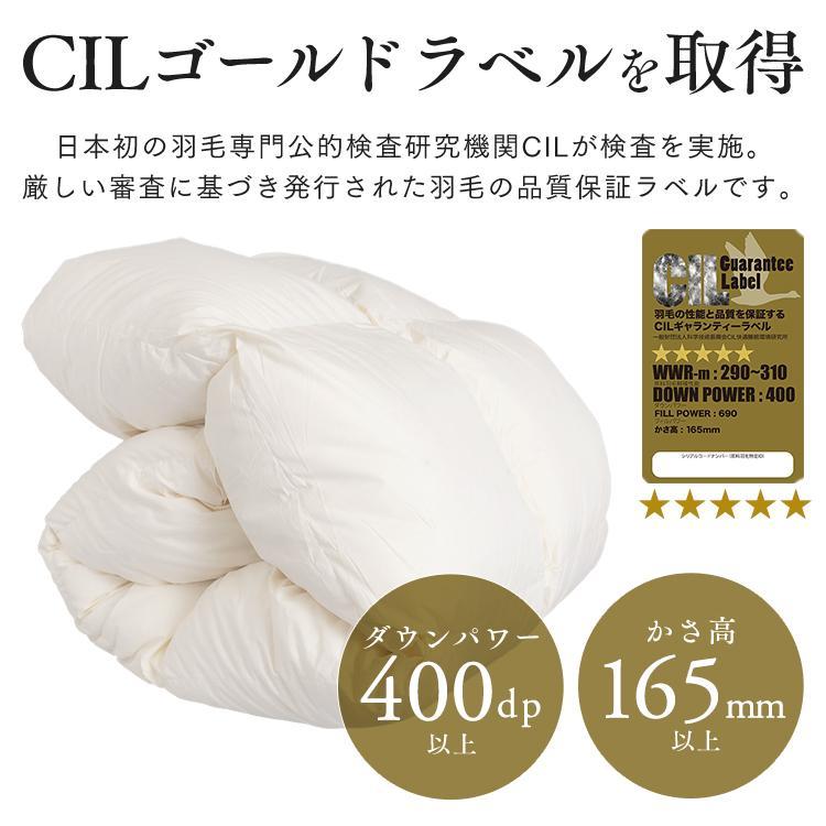 IRIS OHYAMA（アイリスオーヤマ） 羽毛布団 シングル 掛け布団 冬