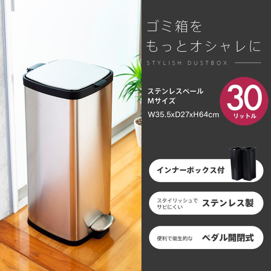 IRIS OHYAMA ゴミ箱 30リットル キッチン 分別 ゴミ ふた付き