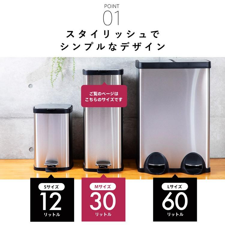 IRIS OHYAMA（アイリスオーヤマ） ゴミ箱 30リットル キッチン 分別