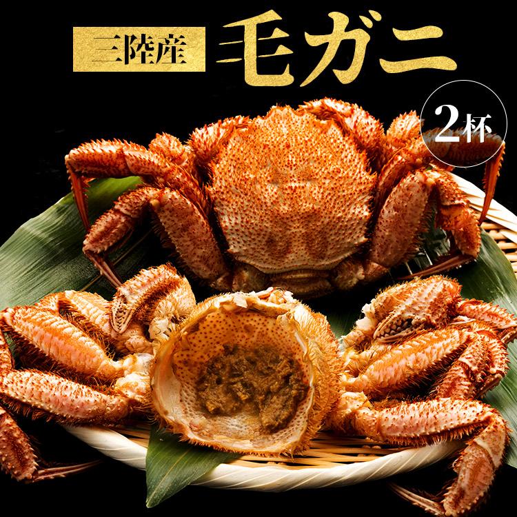 毛がに かに カニ 蟹 三陸産ボイル 気仙沼 カニ味噌三陸産ボイル毛ガニ
