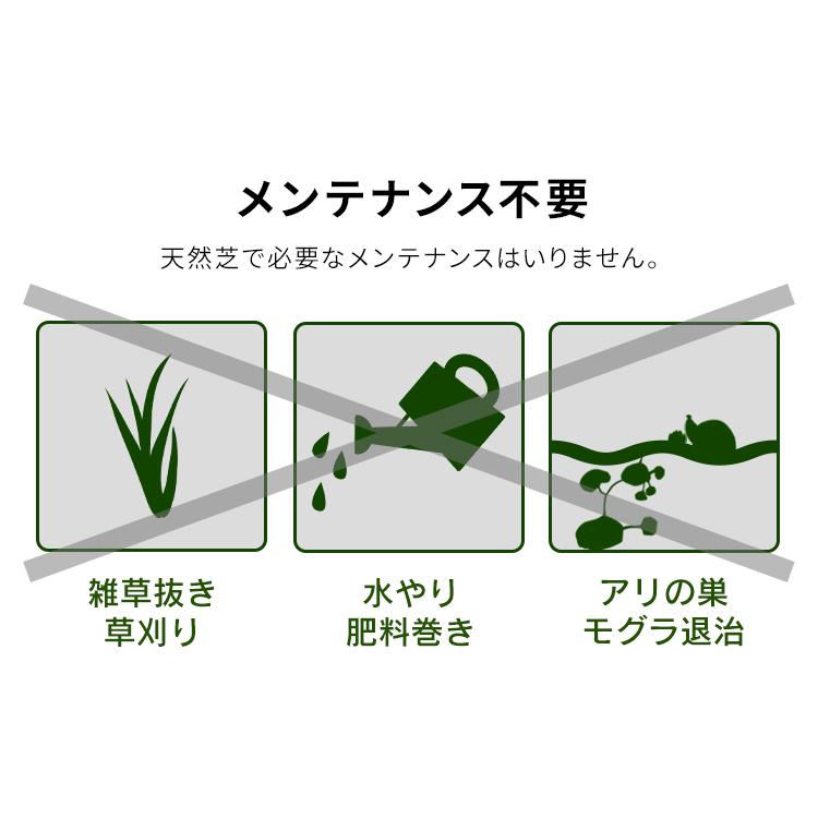 人工芝 ロール 2m×5m アイリスオーヤマ リアル人工芝 防草人工芝 ゴルフ 庭 防草 国産人工芝 人工芝生 人工芝マット ガーデン RP-3025 アイリスソーコー｜irisplaza｜19