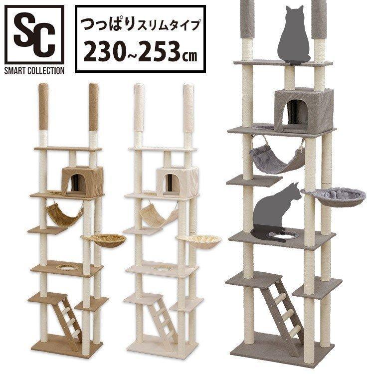 最安値で キャットタワー 突っ張り おしゃれ スリム 安定感 ハンモック キャット タワー 猫 多頭飼い 230〜253cm 突っ張り式 キャットタワーCCCT-4060T riosmauricio.com 最安値で キャットタワー 突っ張り おしゃれ スリム 安定感 ハンモック キャット タワー 猫 多頭飼い 230〜253cm 突っ張り式 キャットタワーCCCT-4060T riosmauricio.com
