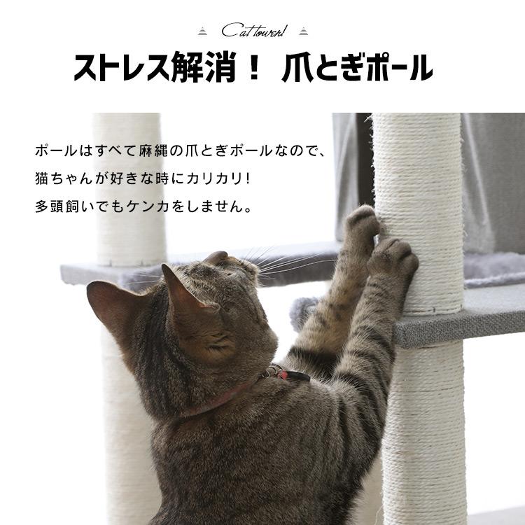 ⬛︎⬛︎なつさま 専用⬛︎⬛︎ ゼクストリーム 2024 SUMMER: ：【公式】ブロッコリーグッズの