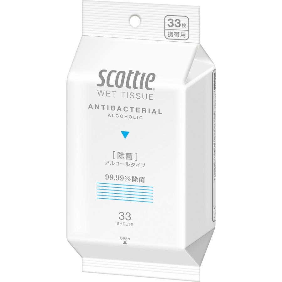 ウェットティシュ 33枚 ウエットティッシュ 除菌シート アルコール