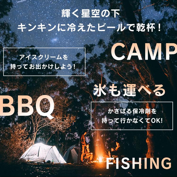 ポータブル冷蔵庫 車載冷蔵庫 小型 20L 12V 24V 車用 車載用冷蔵庫