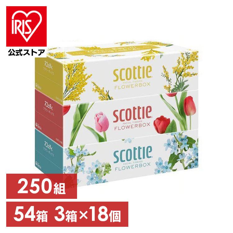 スコッティ フラワーボックス ティッシュ ティッシュペーパー 250組