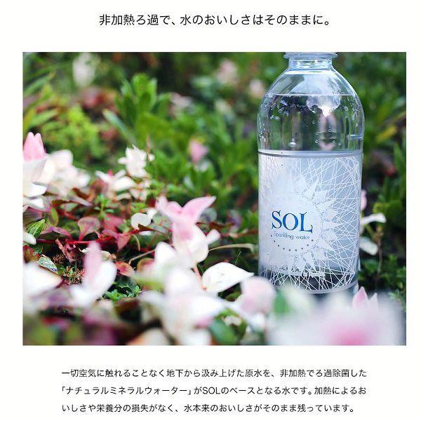 炭酸水 500ml 送料無料 48本 炭酸 安い シリカ炭酸水sol ソール天然水仕込み 500ml 代引き不可 アイリスプラザ Paypayモール店 通販 Paypayモール