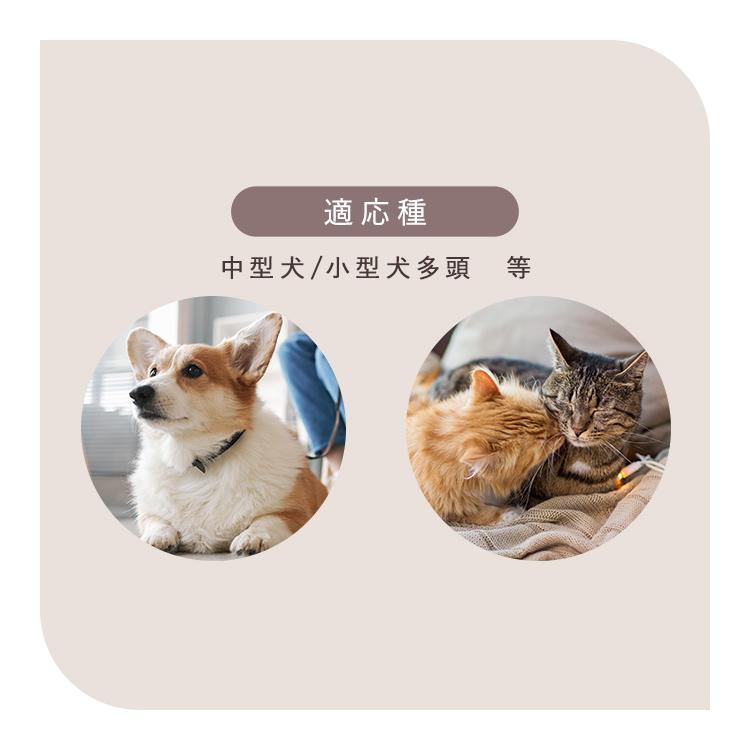 ペットベッド 犬 猫 ソファー オーバル クッション マット ふわふわ 秋