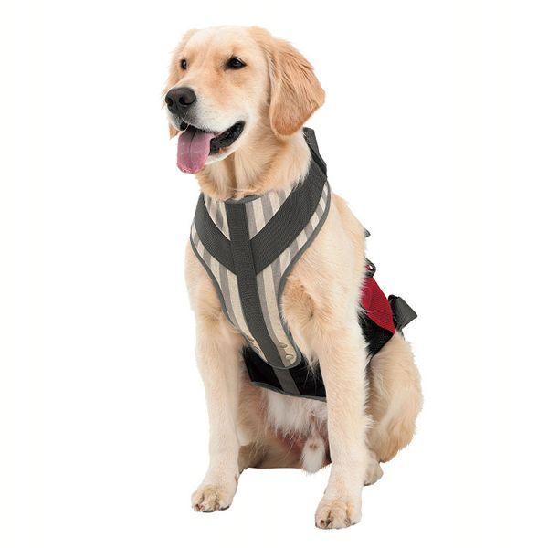 With 歩行補助ハーネスLaLaWalK大型犬用 メッシュボーダー 2TA0026-05 トンボ (D) トンボ