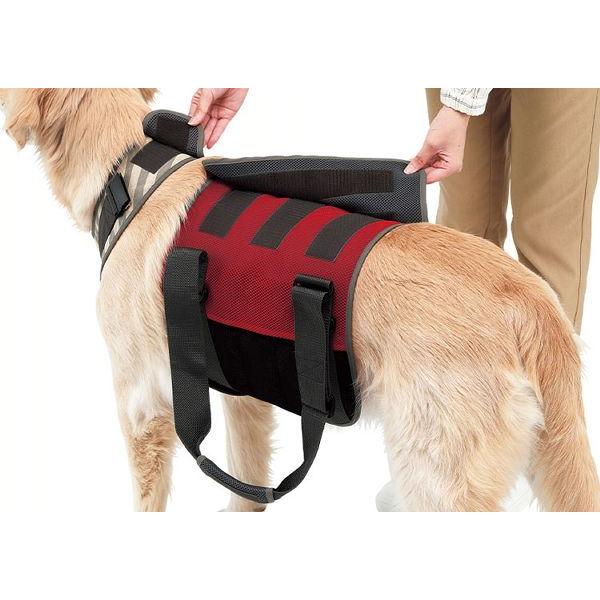 With 歩行補助ハーネスLaLaWalK大型犬用 メッシュボーダー 2TA0026-05 トンボ (D) トンボ