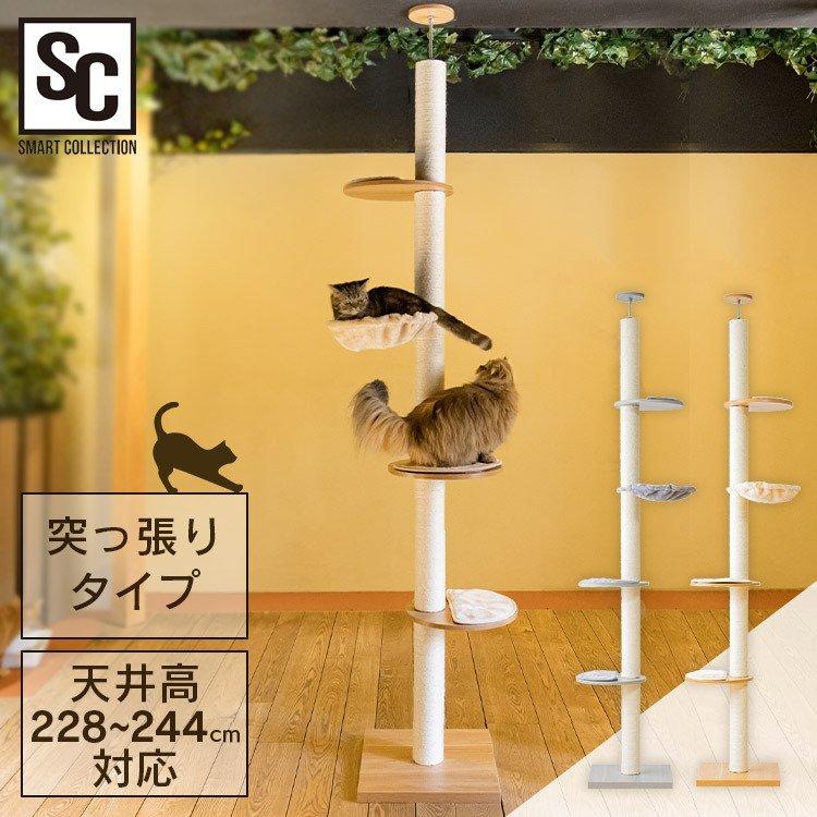 ブランド登録なし キャットタワー 木製 突っ張り 大型猫用 猫ベッド 猫 爪とぎ 猫タワー ハンモック ベッド おしゃれ キャット タワー 多頭飼い KCCT-244 : アイリスプラザ Yahoo!店 - 通販 - Yahoo!ショッピング ブランド登録なし キャットタワー 木製 突っ張り 大型猫用 猫ベッド 猫 爪とぎ 猫タワー ハンモック ベッド おしゃれ キャット タワー 多頭飼い KCCT-244 : アイリスプラザ Yahoo!店 - 通販 - Yahoo!ショッピング