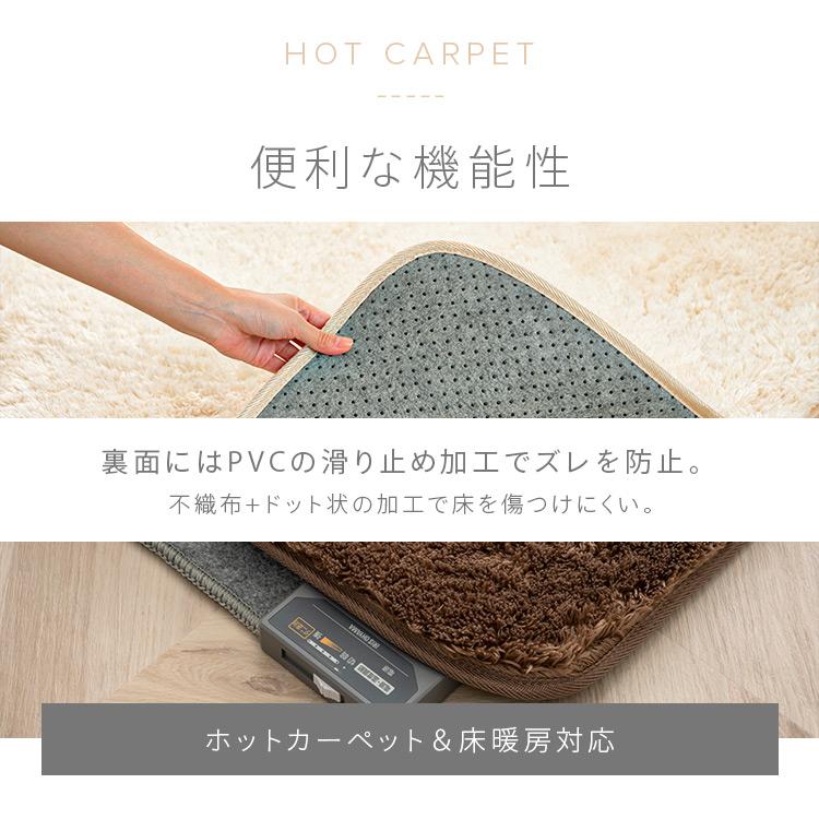 ラグ カーペット 3畳 厚手 北欧 洗える 洗えるラグ おしゃれ ラグマット ラグカーペット シャギーラグ 床暖房 抗菌 防臭 滑り止め 200&times;250 SGR-2025