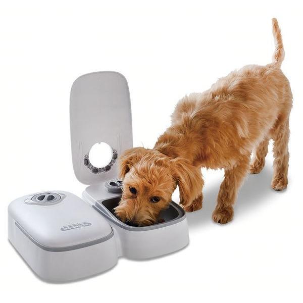 ペット自動給餌器 わんにゃんぐるめ CD-300 (TC) : アイリスプラザ