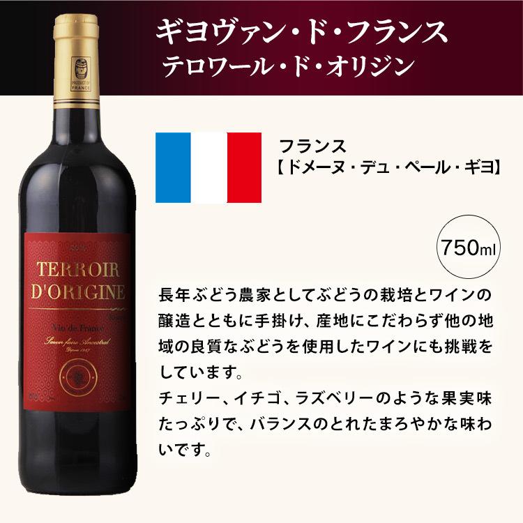 ギヨ ヴァン ド フランス テロワール オリジン 赤 750ml ギヨ ヴァン ド フランス テロワール オリジン 赤 750ml