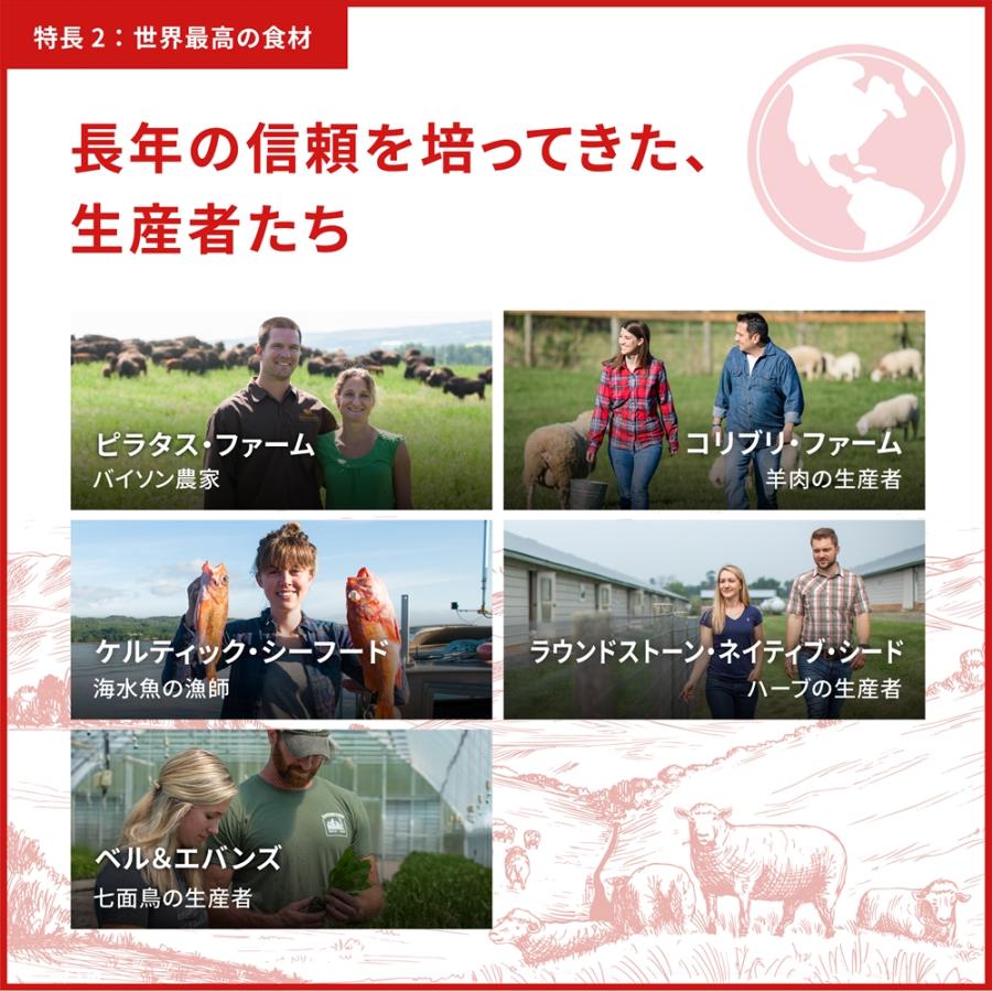 (アウトレット賞味期限印字不良) ドッグフード 犬 フード オリジン オリジナル 6kg ORIJEN 犬用 ドライ ペットフード ドライフードの画像