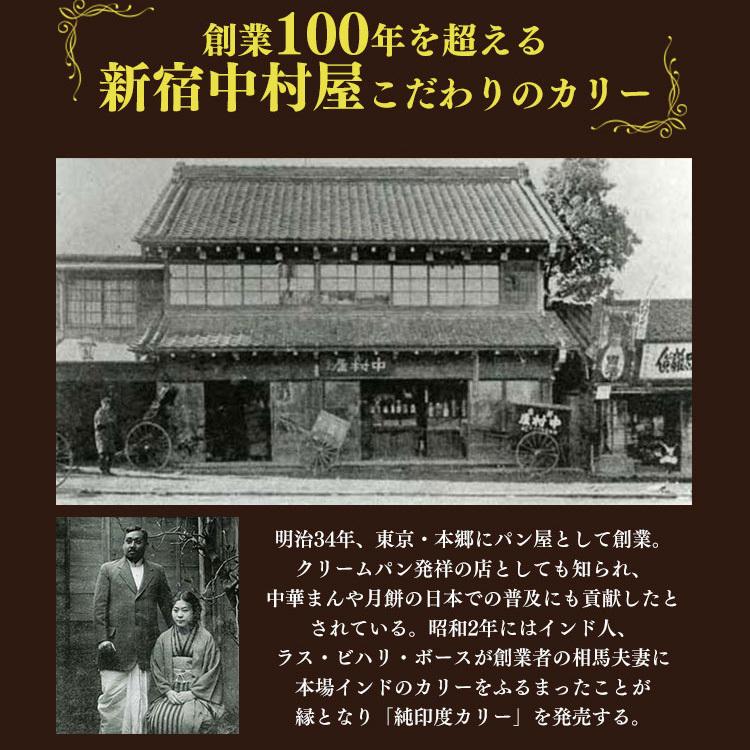 レトルトカレー レトルト 中村家 カレー 国産 (国産牛肉・鶏肉・4種野菜の)カリー・ハヤシ  新宿中村屋｜irisplaza｜07