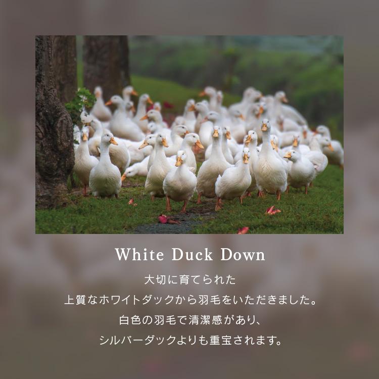 羽毛布団 シングル 冬用 掛け布団 暖かい ホワイトダックダウン ロイヤル 羽毛掛け布団 WDD90％ 超軽量 保温 ロイヤル S 10DS2219-90W0.7IR_10