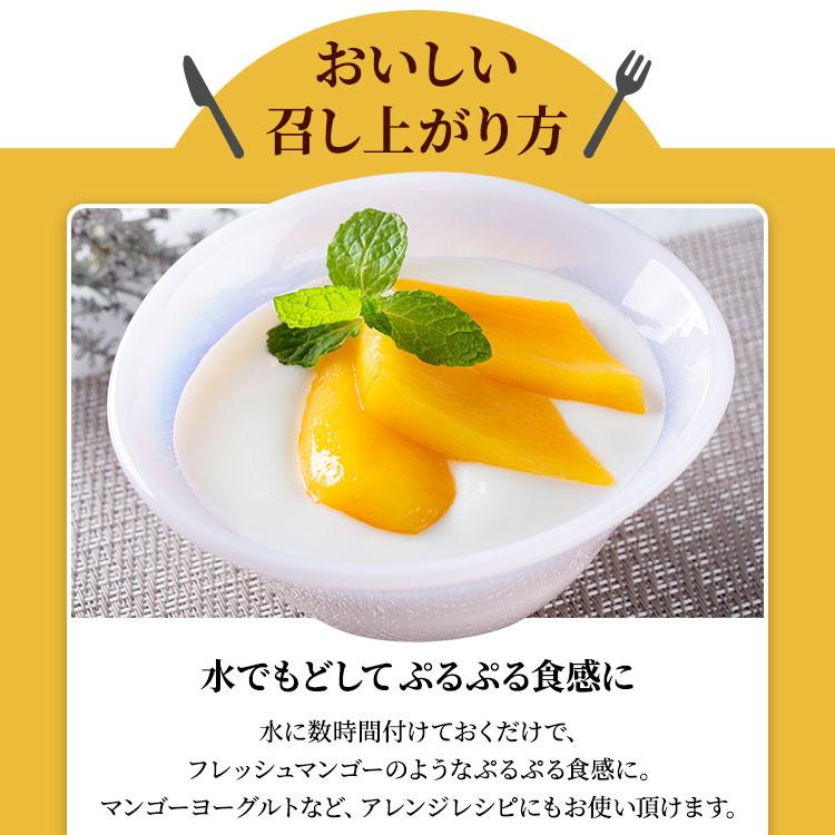 ドライマンゴー 450g×2袋セット 大容量 ドライフルーツ マンゴー タイ