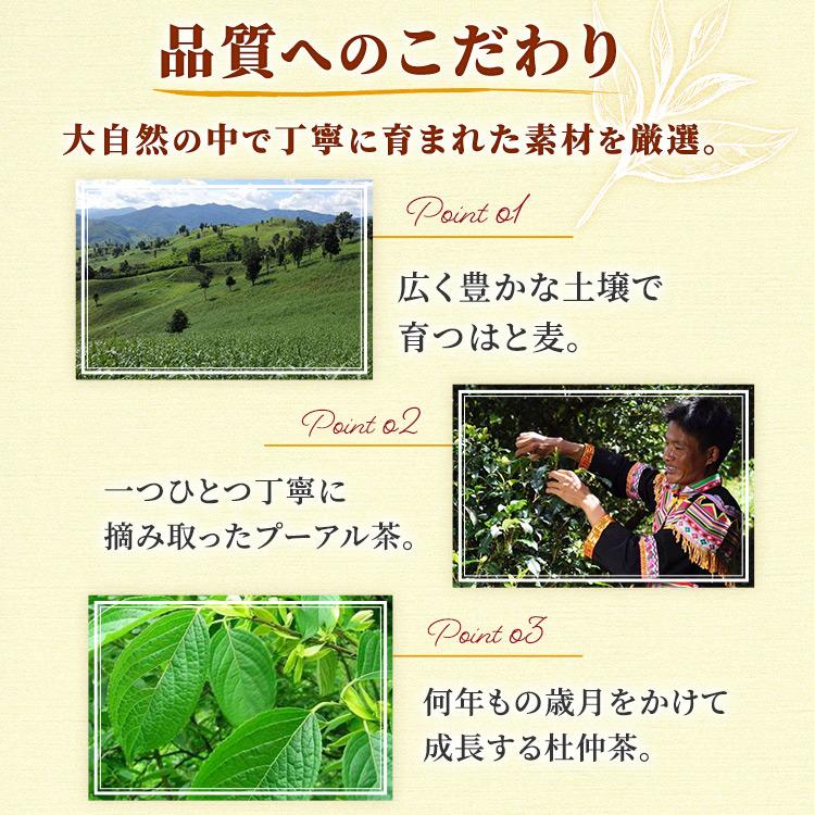 お茶 ルイボスティー 200ml 30本 エルビーノンカフェイン 南アフリカ産 茶葉 香り 軽量 紙パック ブレンドティー｜irisplaza｜10