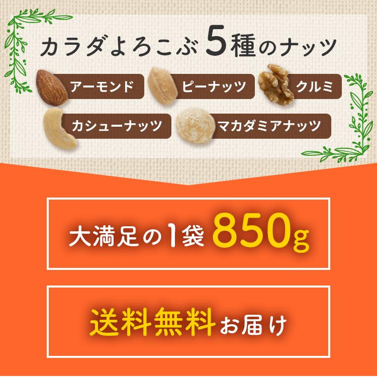 5種ミックスナッツ800g ×5点 アーモンド ヘーゼル カシュー マカダミア 5種ミックスナッツ800g ×5点 アーモンド ヘーゼル カシュー