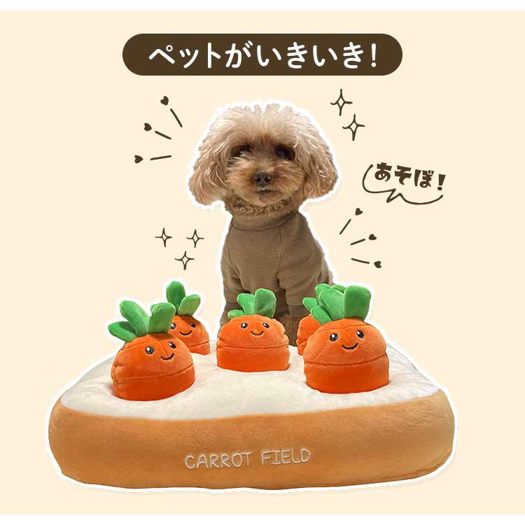 ペット おもちゃ 1011115001 ノーズワーク わんパク！ 犬 知育玩具