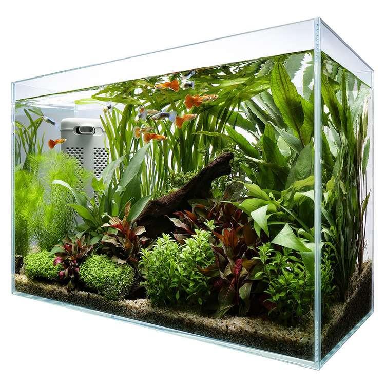 1200水槽飼育セット Amazon | テトラ(Tetra) おさかな飼育 静かなセット PL-17SF