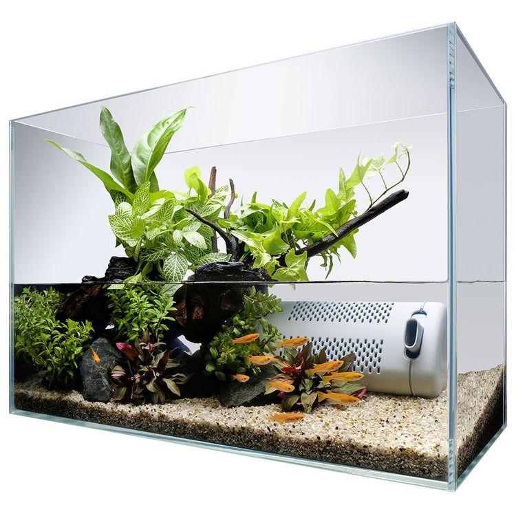 アクアリウム 水槽 セット 飼育 観賞魚テトラ サイレント