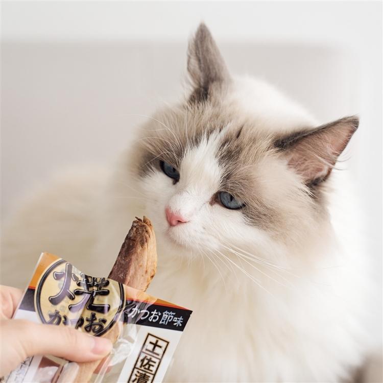 いなばペットフード 猫 おやつ いなば 焼かつお 成猫用バラエティ 20本